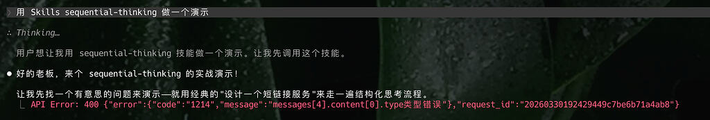 发现 glm5 在 Claude Code 的一个巨大坑 - 开发调优 - LINUX DO