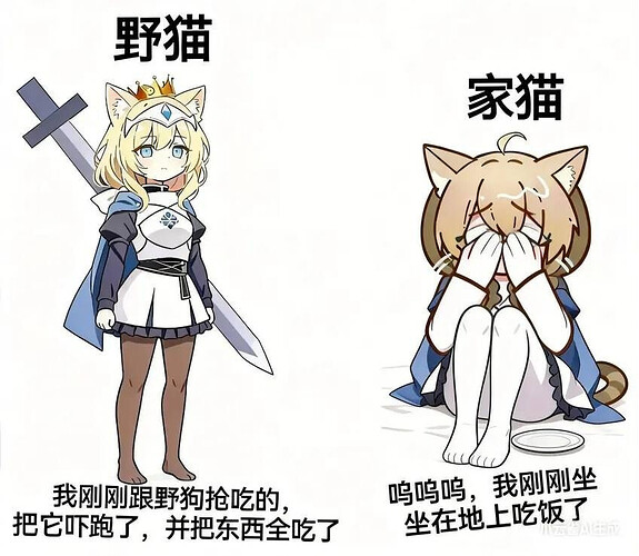 pasted-image-2026-05-26T07-17-13.png