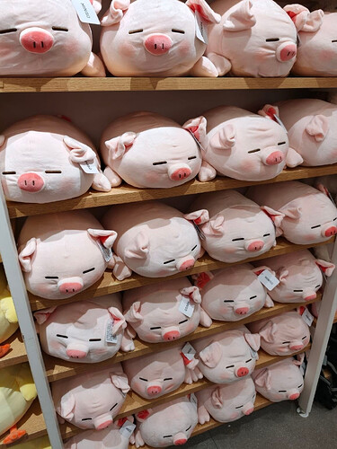 pasted-image-2026-05-05T03-34-47.png