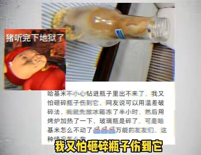 pasted-image-2026-05-30T03-37-00.png