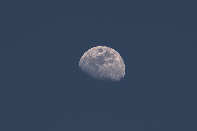 20260426-DSC00349