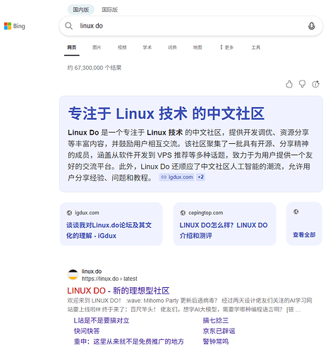 bing娘忘改又一次他的linux.do搜索概要了|ू･ω･` ) - 搞七捻三 - LINUX DO