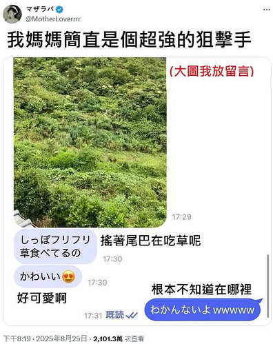 pasted-image-2026-06-07T23-57-18.png