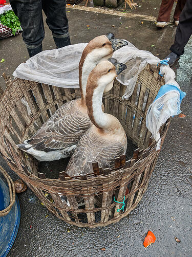 IMG_20260216_081700
