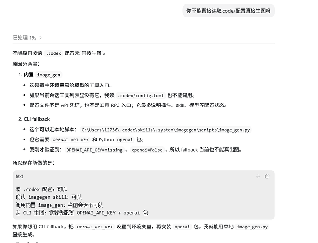 codex为啥一直说没有生图功能啊- #6，来自getduanfa - 搞七捻三- LINUX DO