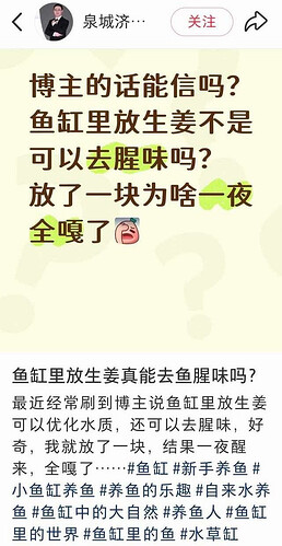pasted-image-2026-05-15T02-35-29.png