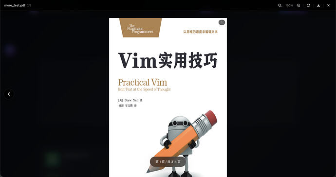 pdf格式预览