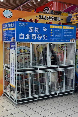 pasted-image-2026-05-13T02-32-02.png