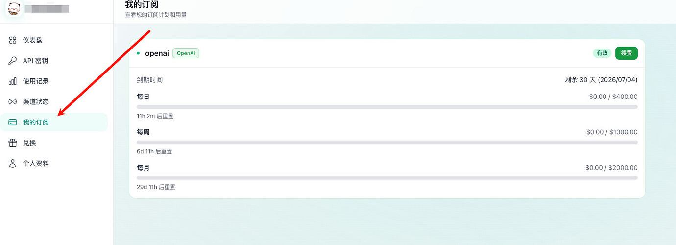 CCSwitch+Sub2api 使用 - 开发调优 - LINUX DO