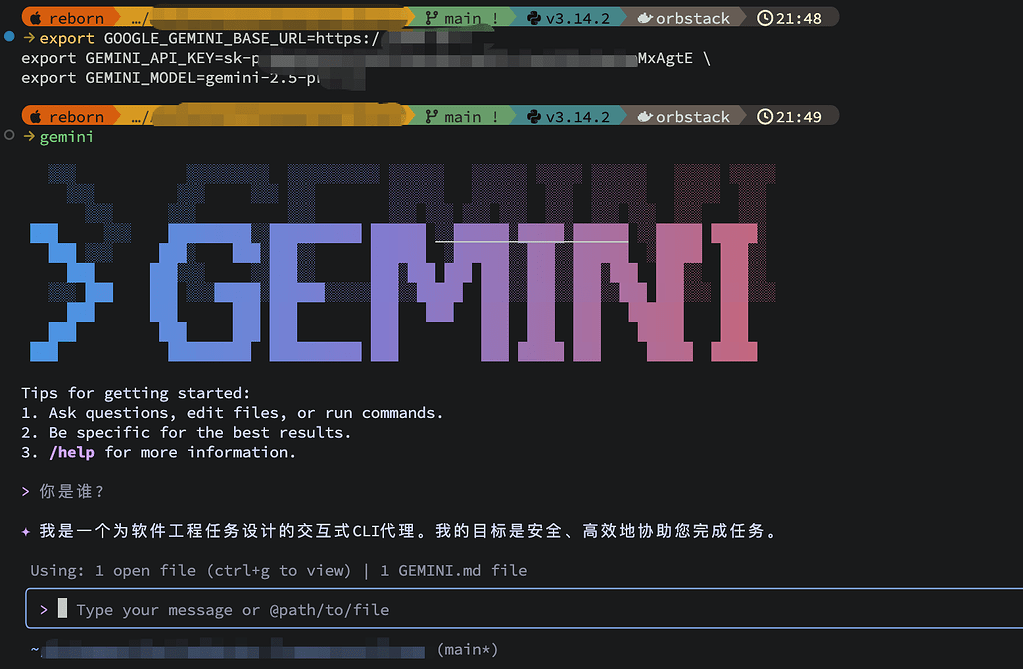 求救~Gemini CLI 的 API 配置是只能通过环境变量使用吗？.env 配置无效 - 开发调优 - LINUX DO