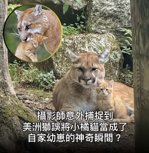 pasted-image-2026-06-09T01-02-59.png