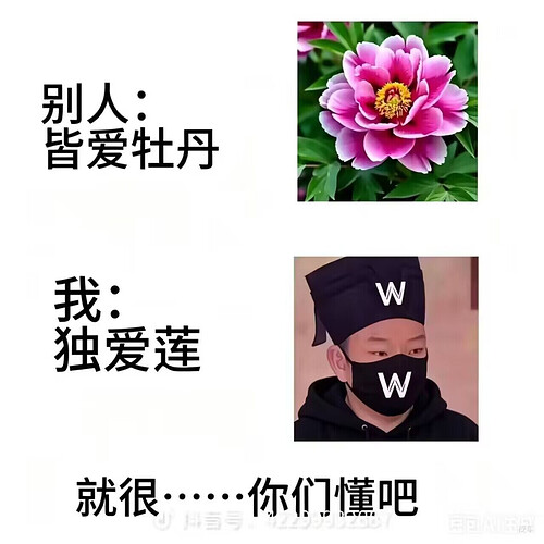 pasted-image-2026-05-05T03-54-44.png