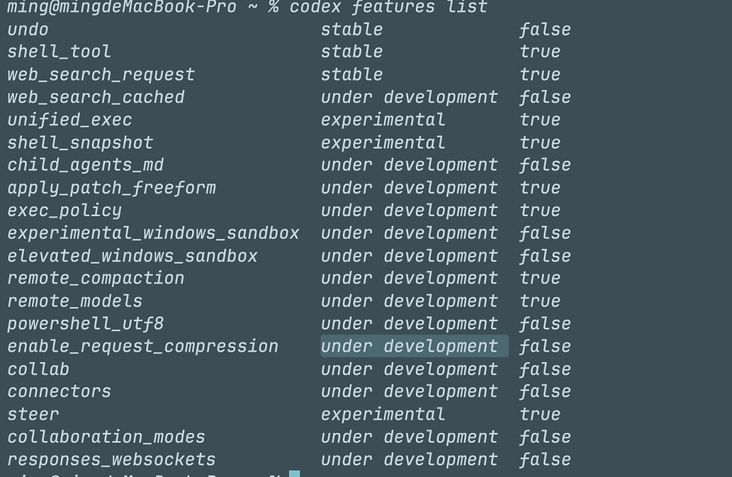 Codex 有 multi-agent 了 - 开发调优 - LINUX DO