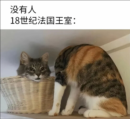 pasted-image-2026-05-25T01-29-24.png