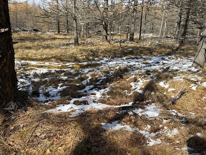 IMG_3249