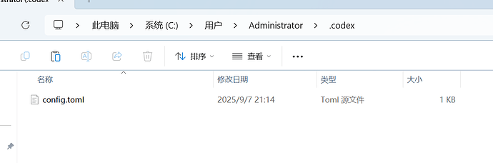 vscode和cursor中codex一直加载 - 搞七捻三 - LINUX DO