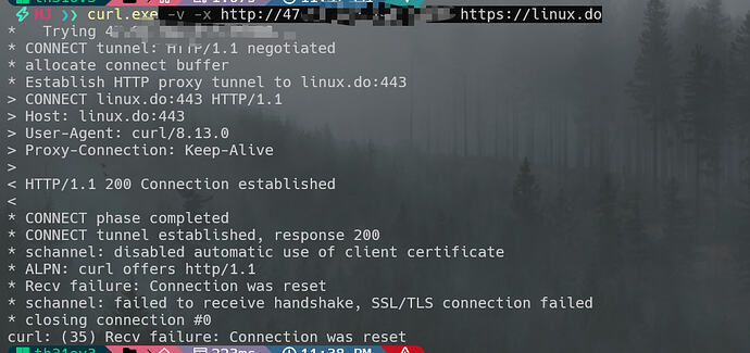 FluxDO，一个逐渐健硕的第三方 L 站客户端 - #517，来自 th31ov3 - 开发调优 - LINUX DO
