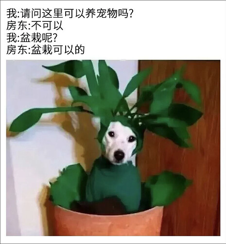 pasted-image-2026-05-01T04-23-57.png