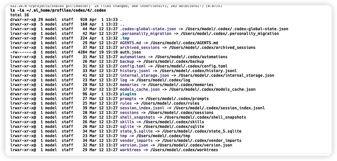 分享一个轻量原生的codex多provider切换方式 - 开发调优 - LINUX DO