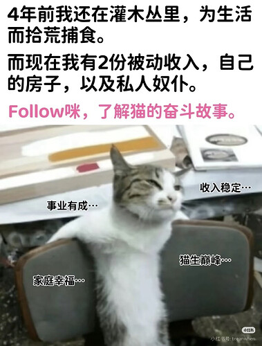 pasted-image-2026-05-13T03-03-50.png