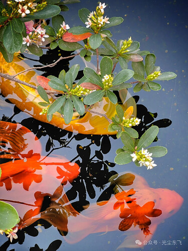 pasted-image-2026-05-15T02-23-46.png
