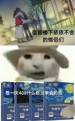 408.singledog.11