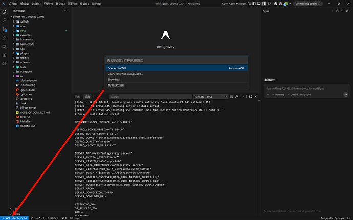 Win google antigravity 连不上WSL - 开发调优 - LINUX DO