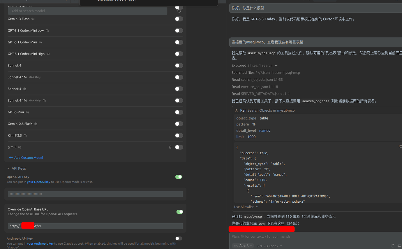 【新人第一次发帖】cursor自定义模型接入cpa【已解决无法调用tool的问题】 - 开发调优 - LINUX DO