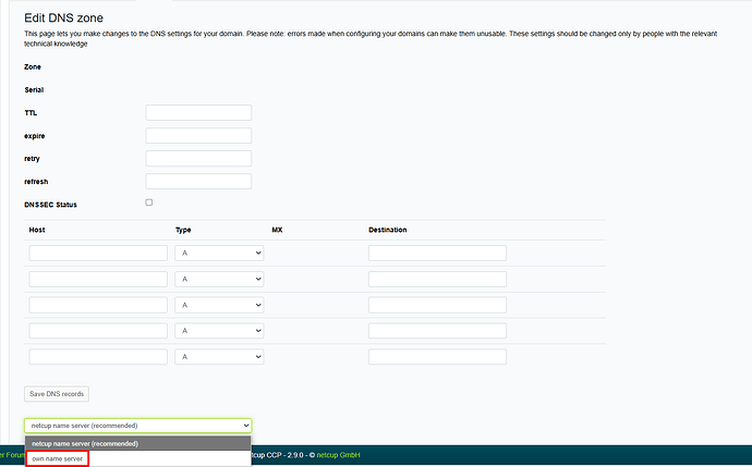 netcup dns 2