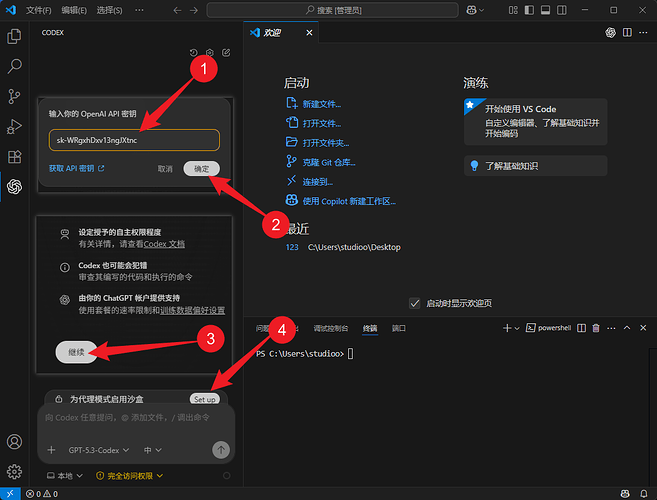 VS Code Codex CPA 配置教程 - 开发调优 - LINUX DO
