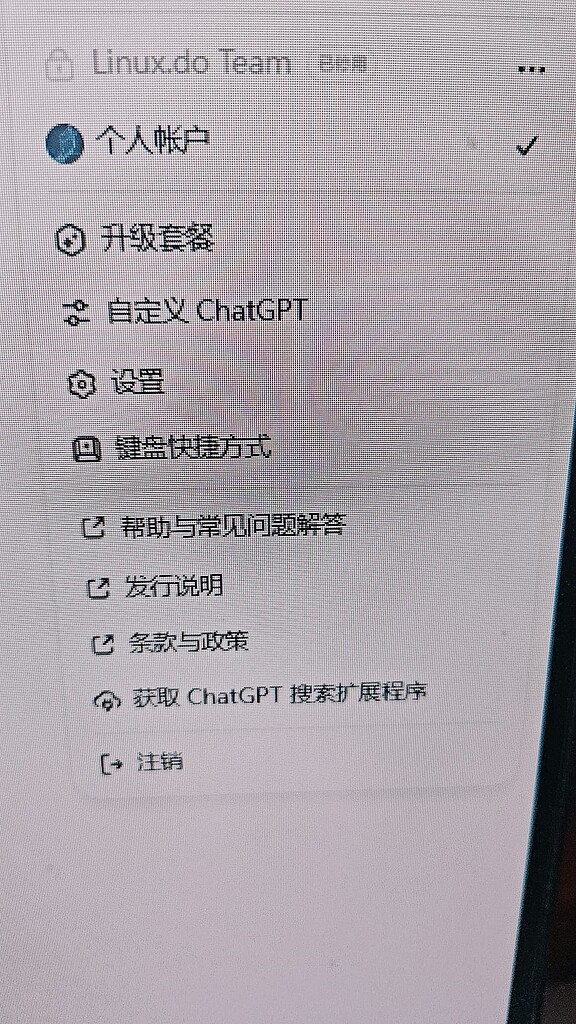 team已被停用 - 搞七捻三 - LINUX DO