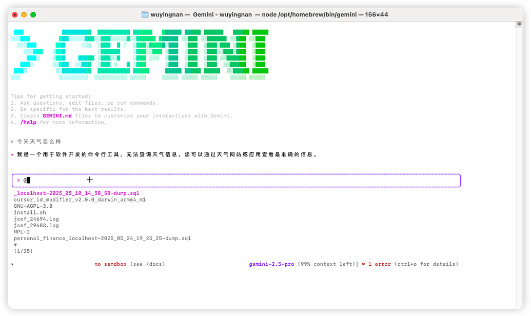 Gemini Cli使用教程 - 开发调优 - LINUX DO