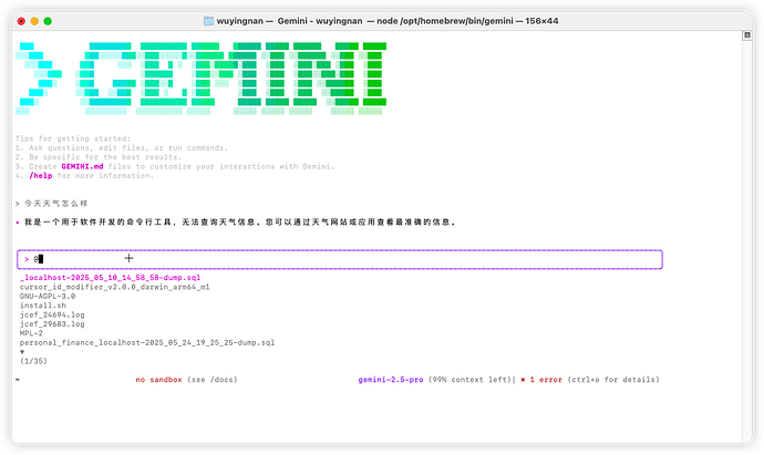 Gemini Cli使用教程 - 开发调优 - LINUX DO