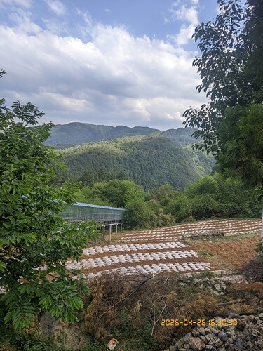 267.jpg
