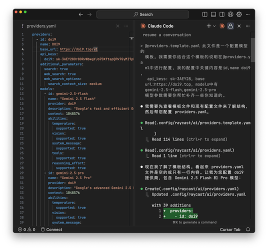 Raycast新版AI功能Custom Providers 体验 - 开发调优 - LINUX DO