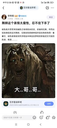 艾尔登法环大哥哥