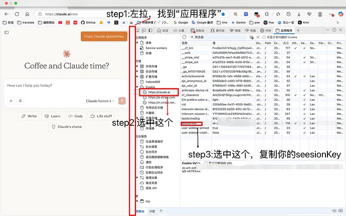 claude获取sessionKey步骤 - 开发调优 - LINUX DO