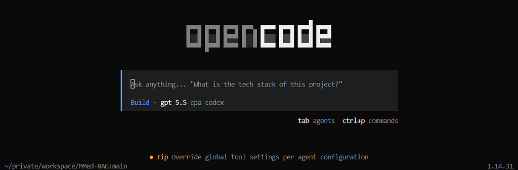 【求助】OpenCode在服务器环境无法正常输入 - 开发调优 - LINUX DO