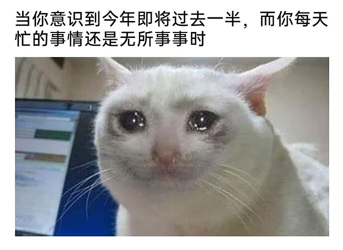 pasted-image-2026-05-04T09-11-02.png