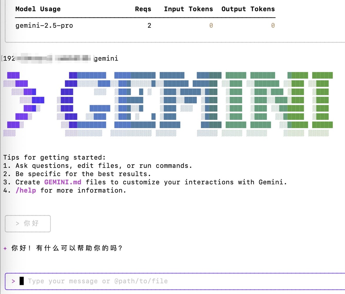 教大家一下如何让Gemini Cli对接第三方gemini api - 开发调优 - LINUX DO