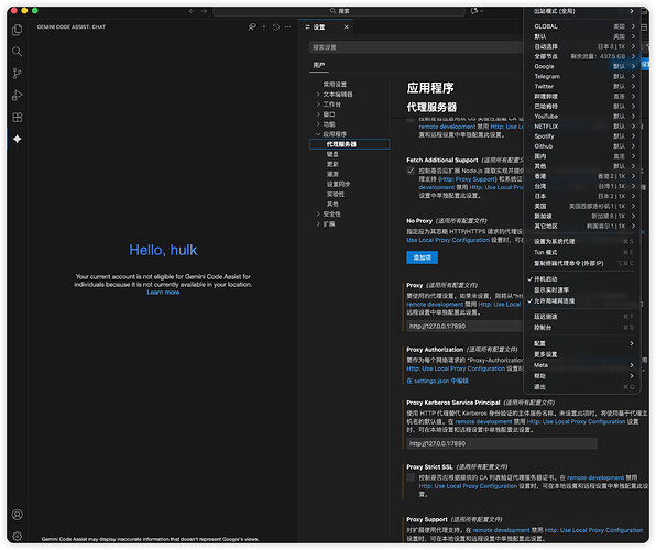 vscode的gemini code assist插件不走代理？ - #32，来自 vvanglro - 开发调优 - LINUX DO