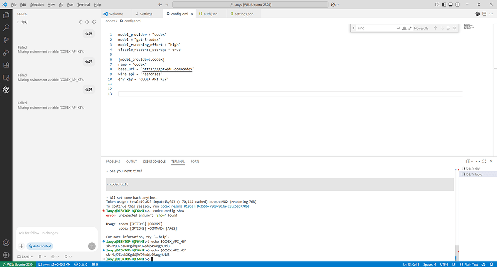 各位佬，有在使用vscode的codex插件的时候接第三方的API，出现Missing environment variable ...