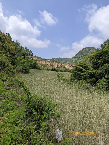 377.jpg