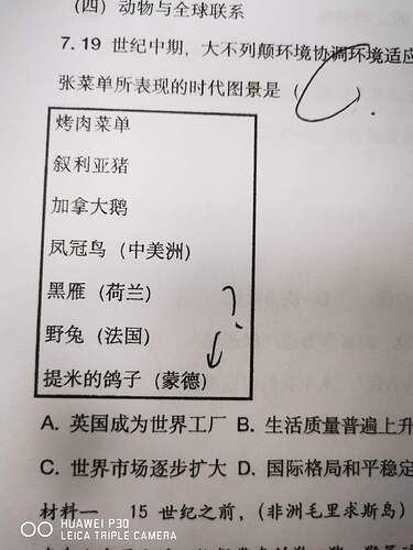 e2e0d1d2cf4bb7412200ee53c6f58149
