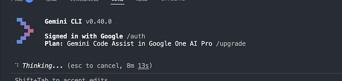 Gemini Cli的慢，是我一个急性子受不了的 - 开发调优 - LINUX DO