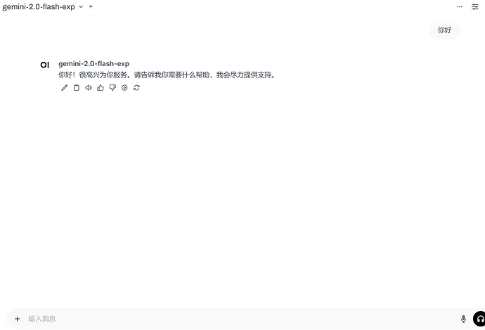 OpenWebUI 简单使用 Gemini api（如：gemini-2.0-flash-exp） - 开发调优 - LINUX DO