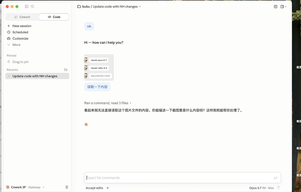 小白求问deepseek接入了cc为什么没法读图片 - 搞七捻三 - LINUX DO