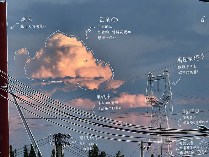 image-17775665380a2a1c601980e2216b75132778cc88c8.png