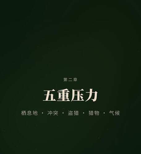 xw20260529192144