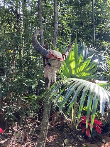 腾冲清水中寨司莫拉佤族村_8.HEIC